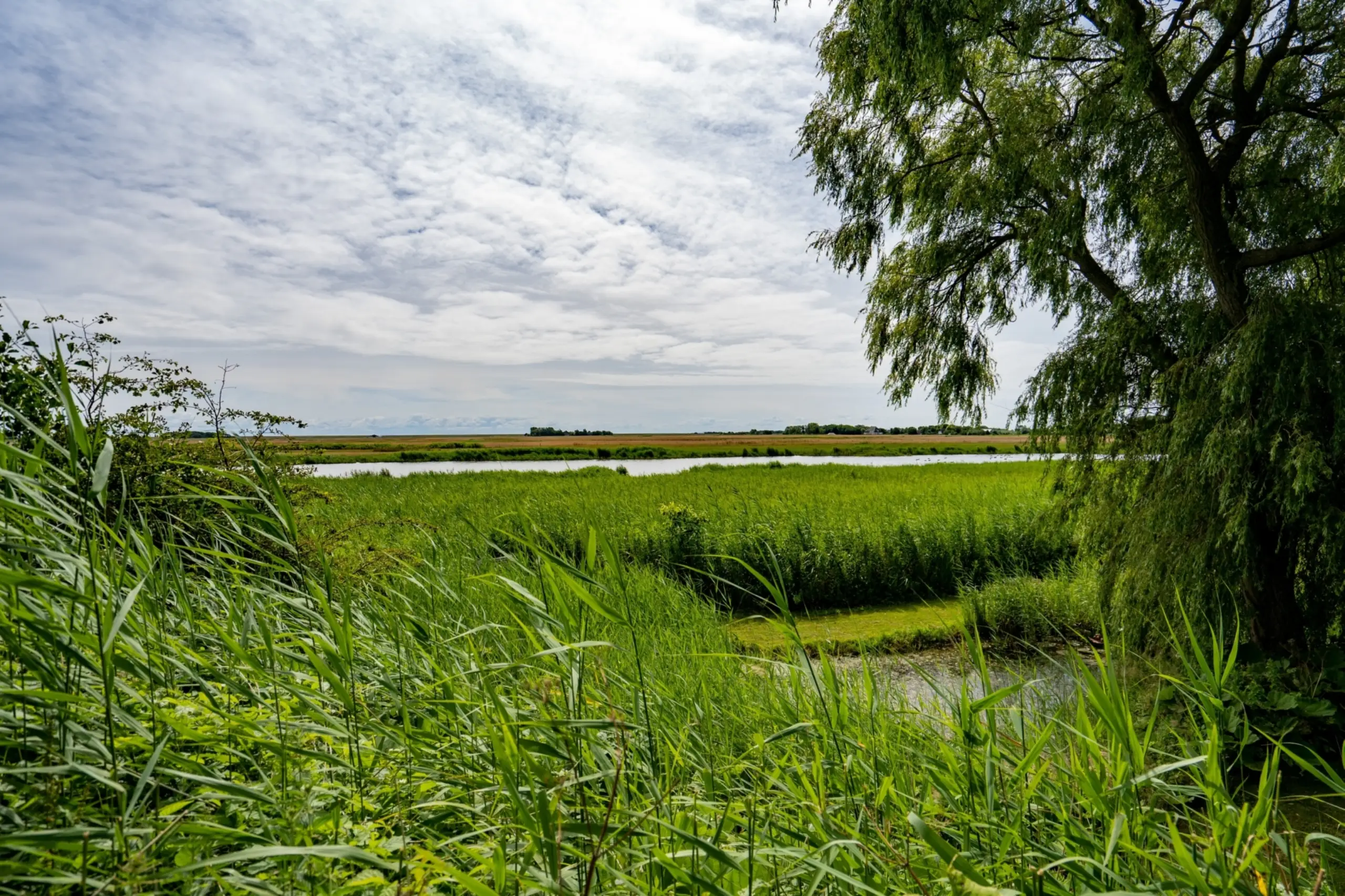 Bed & View De Roggesloot