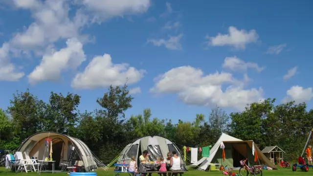 Boerderijcamping De Vrije Vogel tentplaatsen VVV Texel