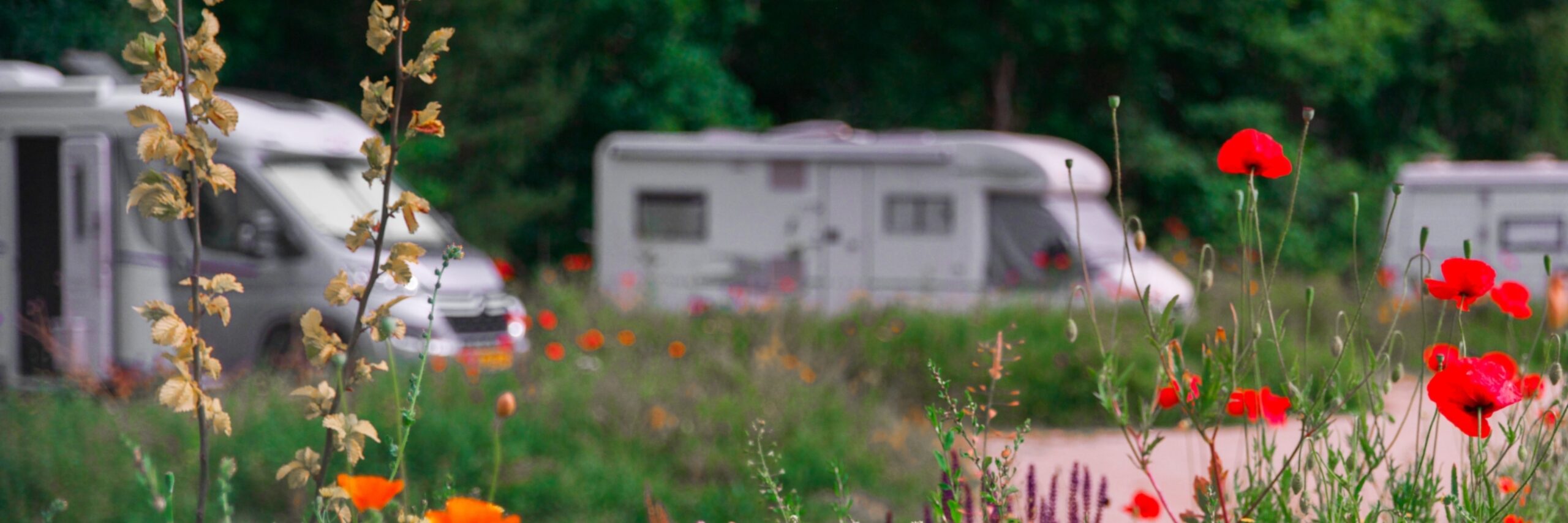 Camper Woud 4