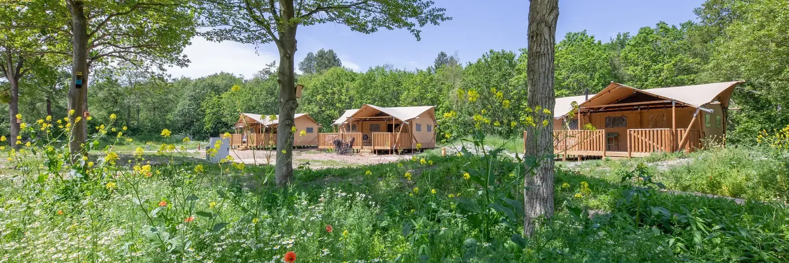 Kampeerterrein Woud