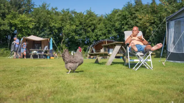 Boerderijcamping De Hoge Kamp 2