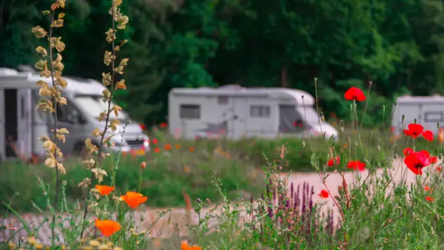 Camper Woud 4