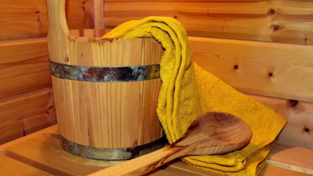 Accommodaties met sauna
