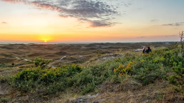 Campagne Magie Stel in de duinen bij de zonsondergang VVV Texel fotograaf Justin Sinner vrij voor online gebruik vvv