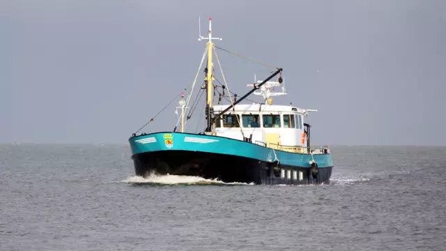 Waddenveer De Vriendschap tussen Texel en Vlieland