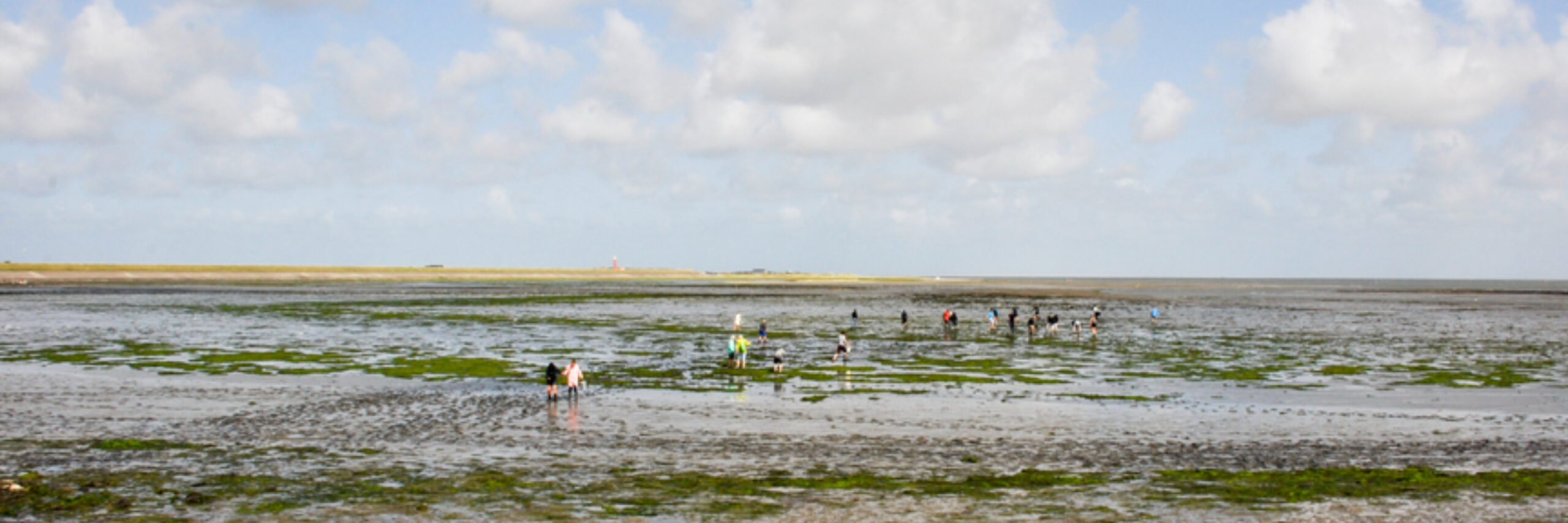 Oestertocht Tesselse oesterman VVV Texel