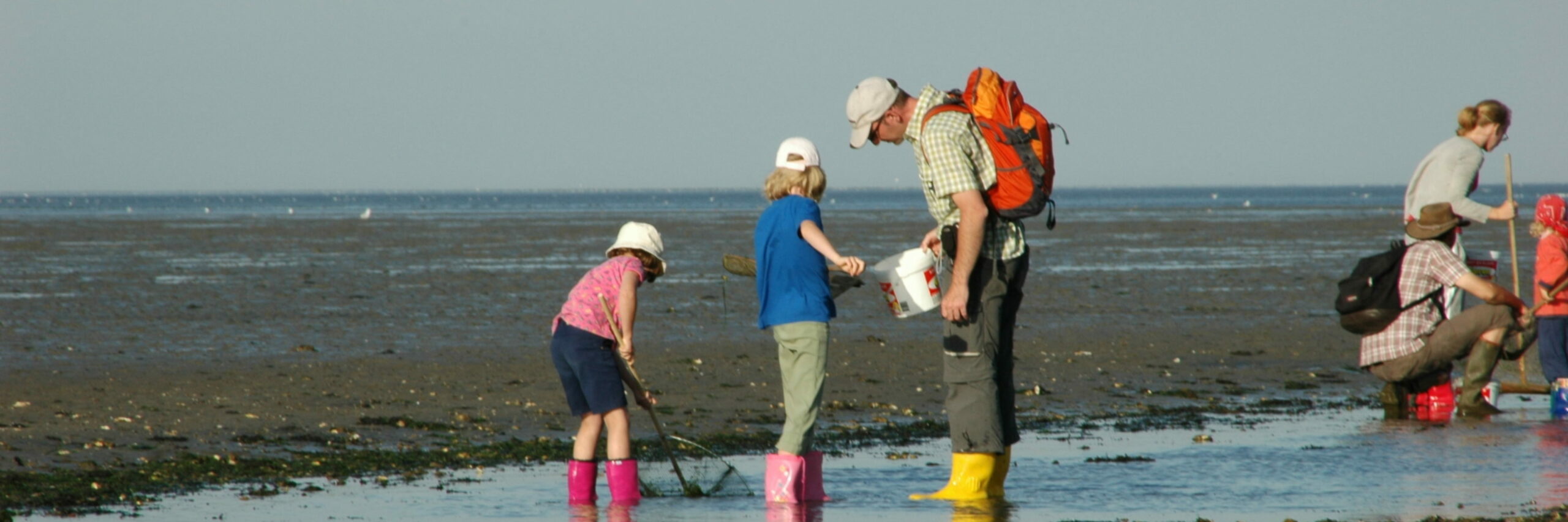Wadlopen op Texel familieprogramma Ecomare VVV Texel
