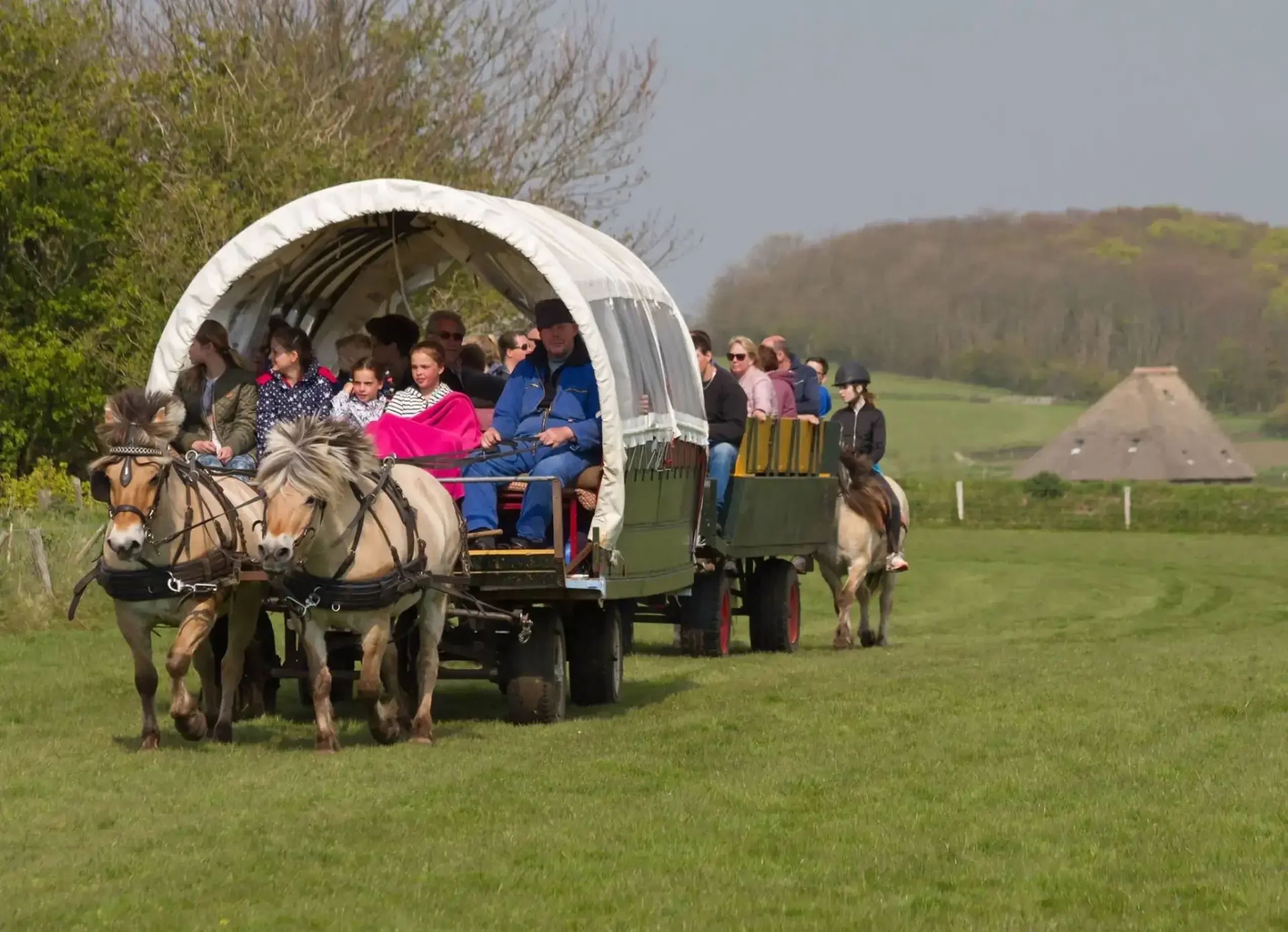 Huifkartocht Puur Texel