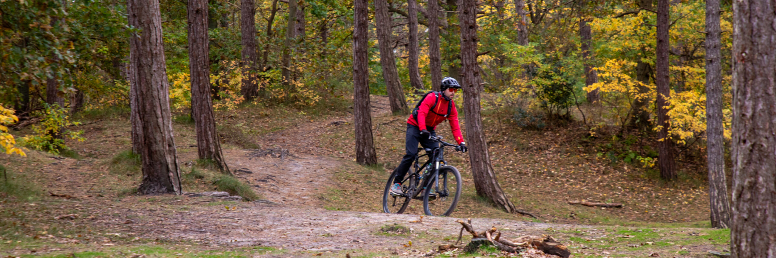 MTB