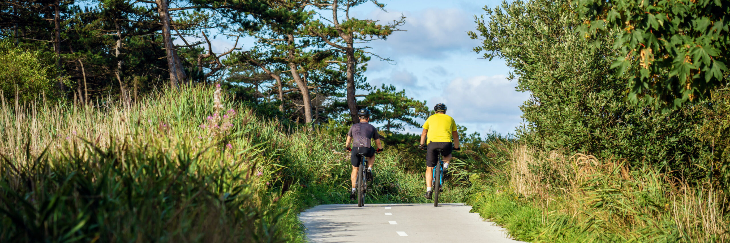 Fietsen algemeen mountainbike bos Stefan Krofft