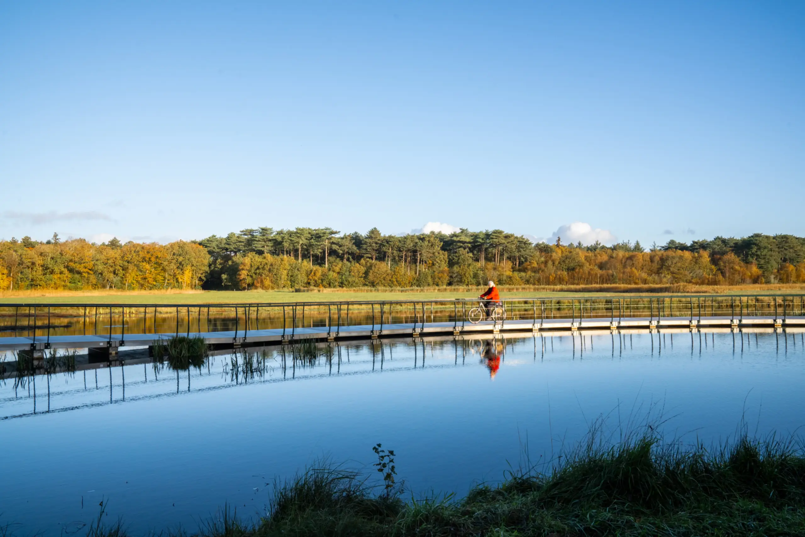 Fietsbrug in het najaar