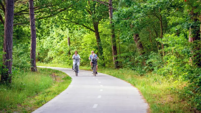 Opa en oma op de fiets
