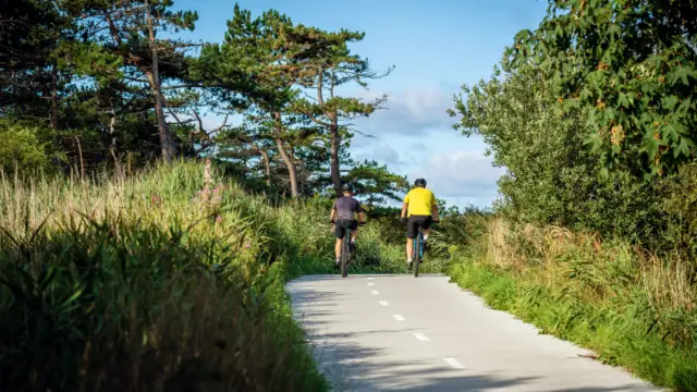 Fietsen algemeen mountainbike bos Stefan Krofft