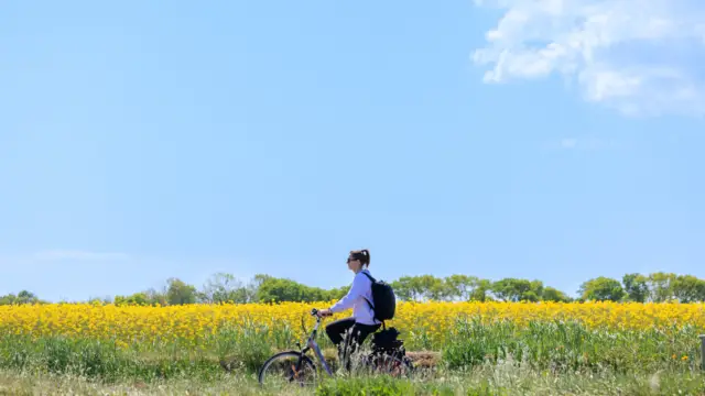 Fietsen 20250508 irisborst Texel voorjaar 165