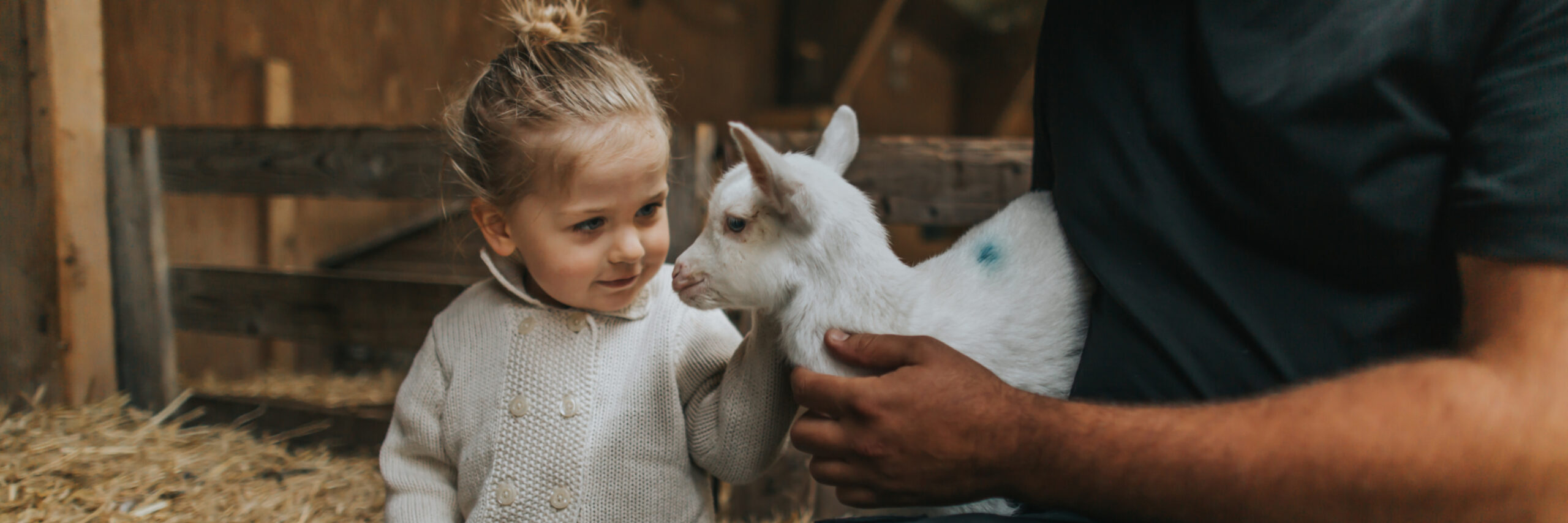 Meisje met geitje bij Schapenboerderij Texel VVV Texel