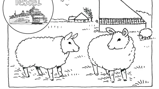 Kleurplaat schaap VVV Texel Monica Maas