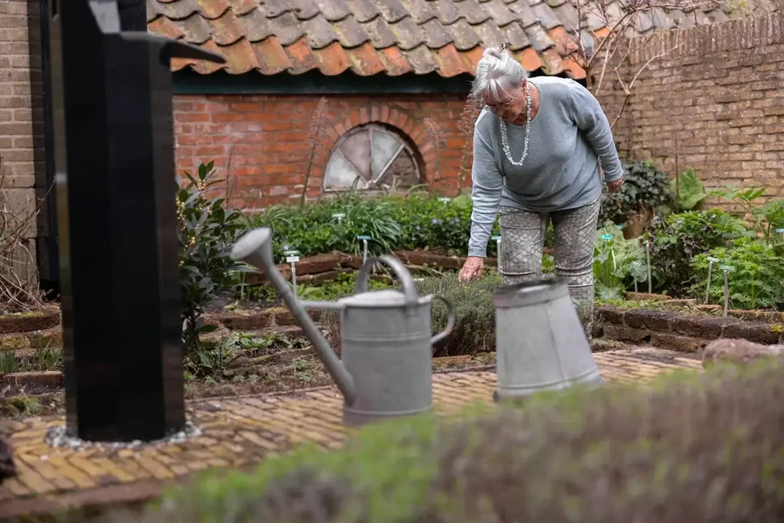 Kruidentuin van de Oudheidkamer