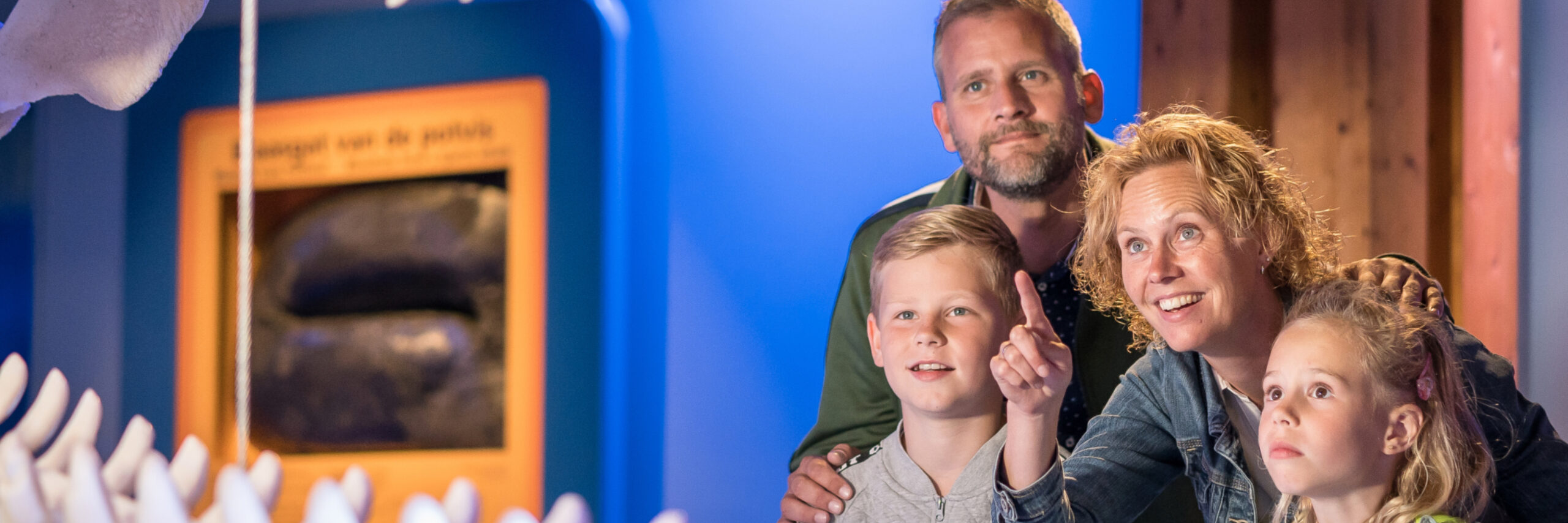 Walvis bekijken bij Ecomare