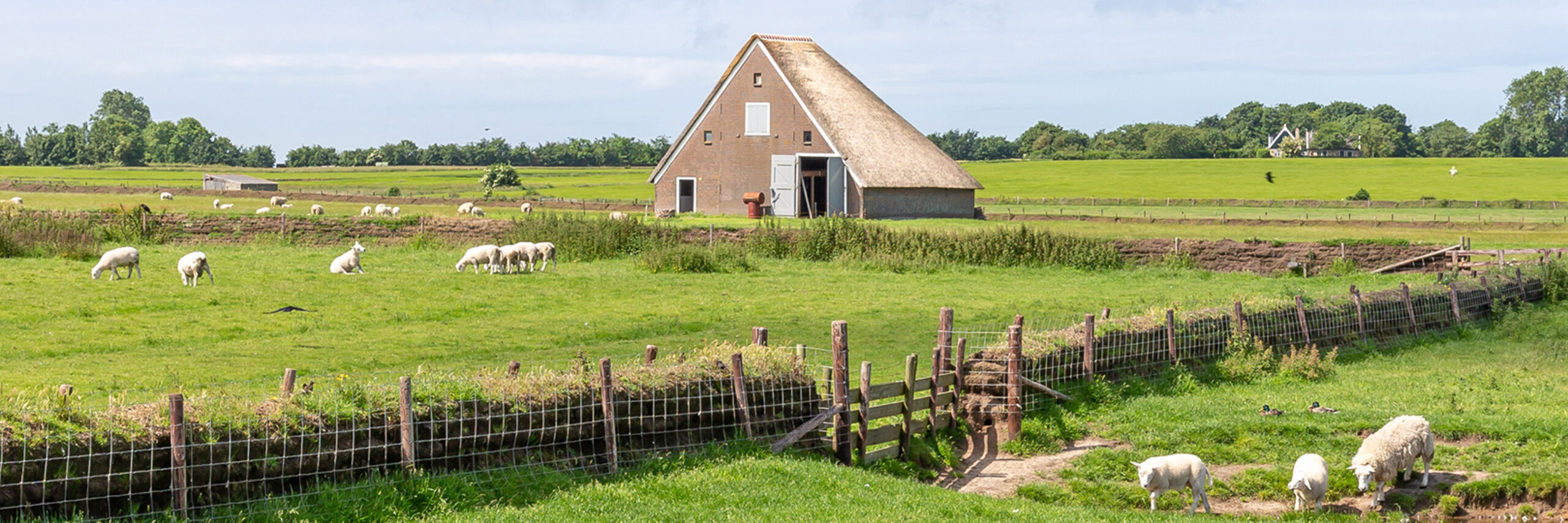 Open dag Hoge Berg 15x10 boet De Waddel Gertha Wessels Alleen voor open dag Hoge Berg