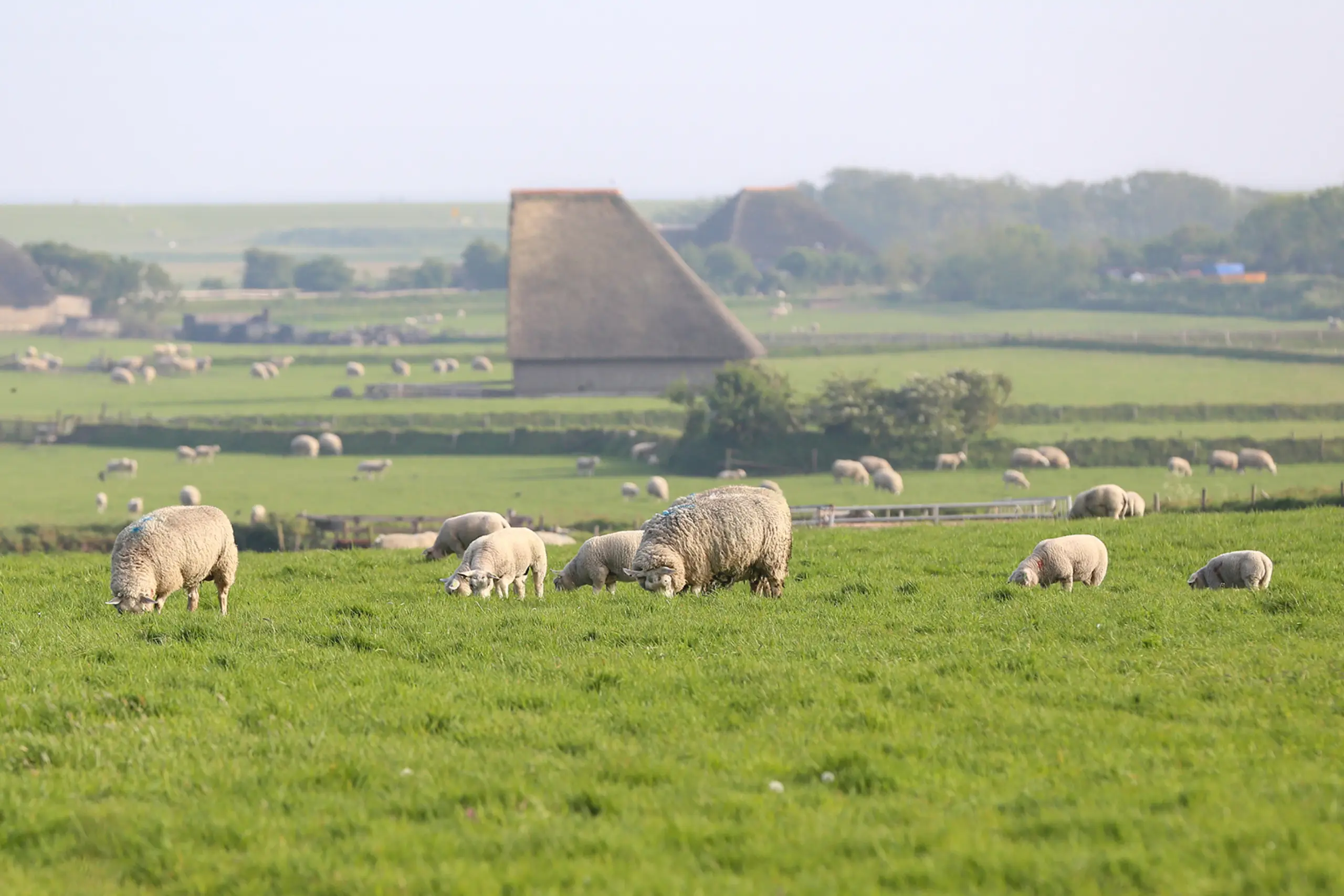 Open Dag Hoge Berg