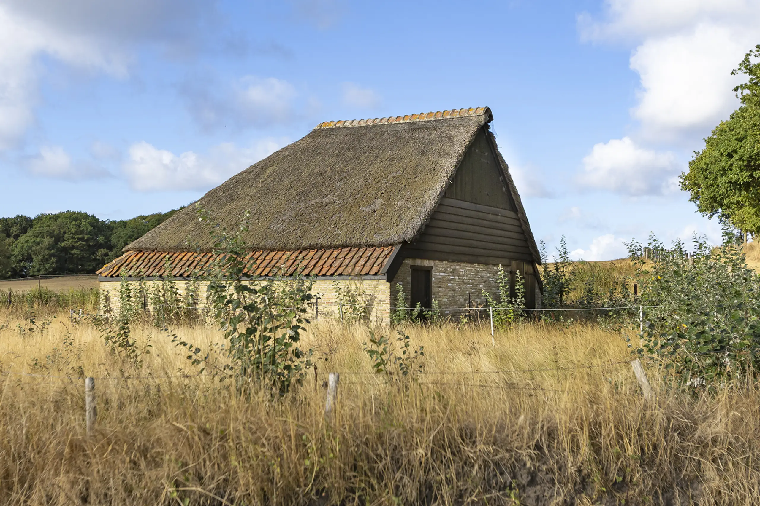 Schapenboet Schapenboerderij Texel