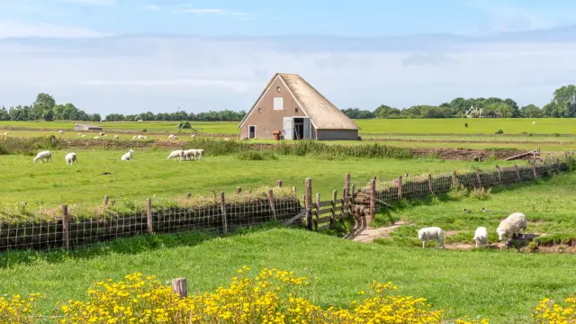 Open dag Hoge Berg 15x10 boet De Waddel Gertha Wessels Alleen voor open dag Hoge Berg