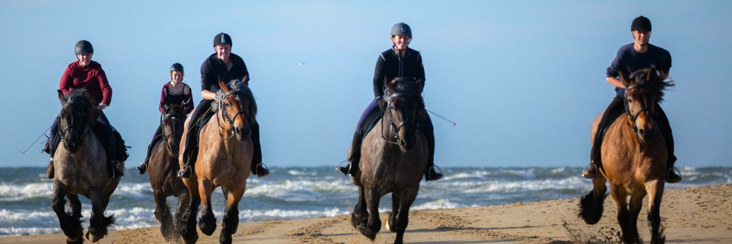 Strandrit met trekpaarden VVV Texel