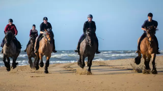 Strandrit met trekpaarden VVV Texel
