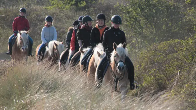Groepsrit met haflingers