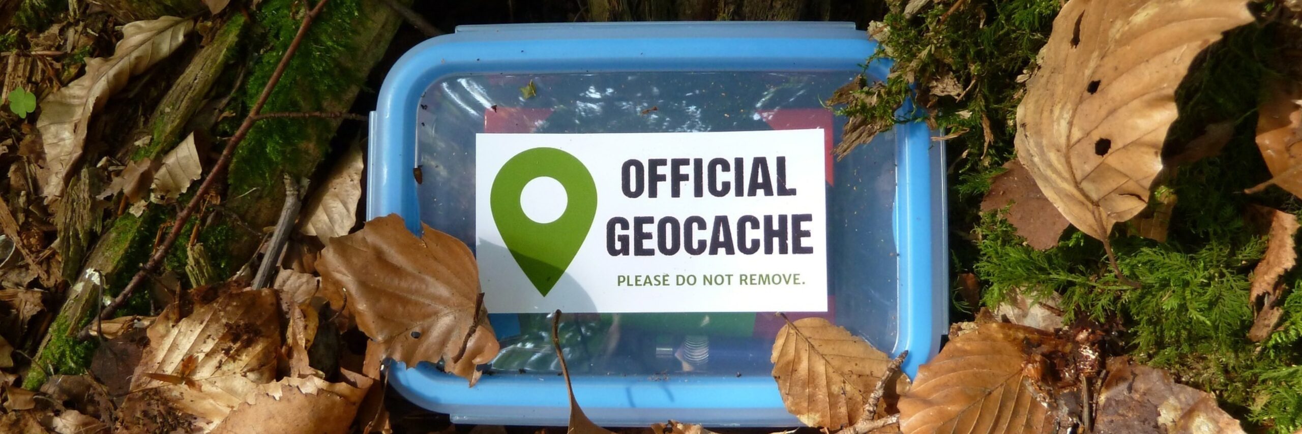 Geocaching in het bos VVV Texel