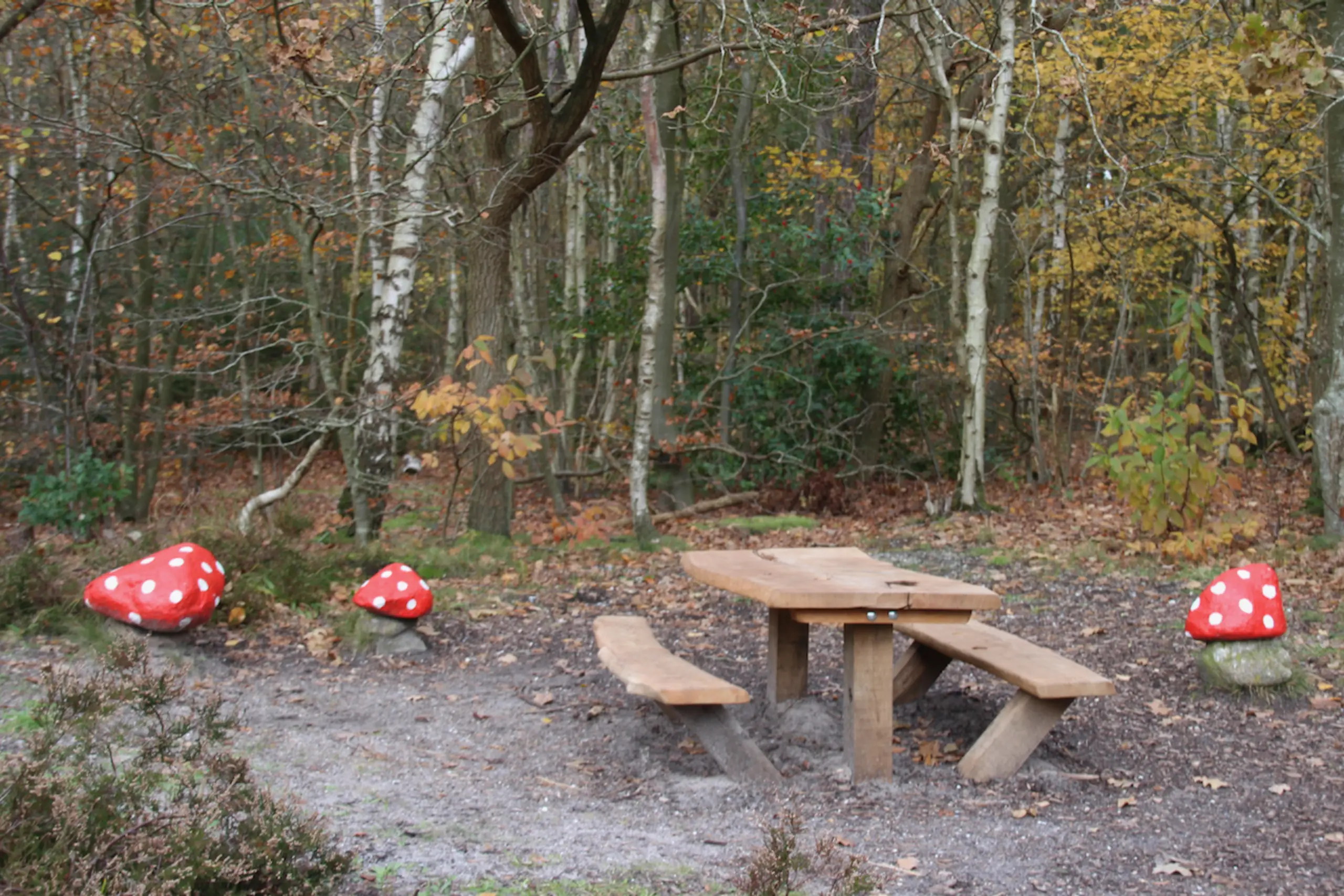Picknickbankje met paddenstoelen langs het Sommeltjespad