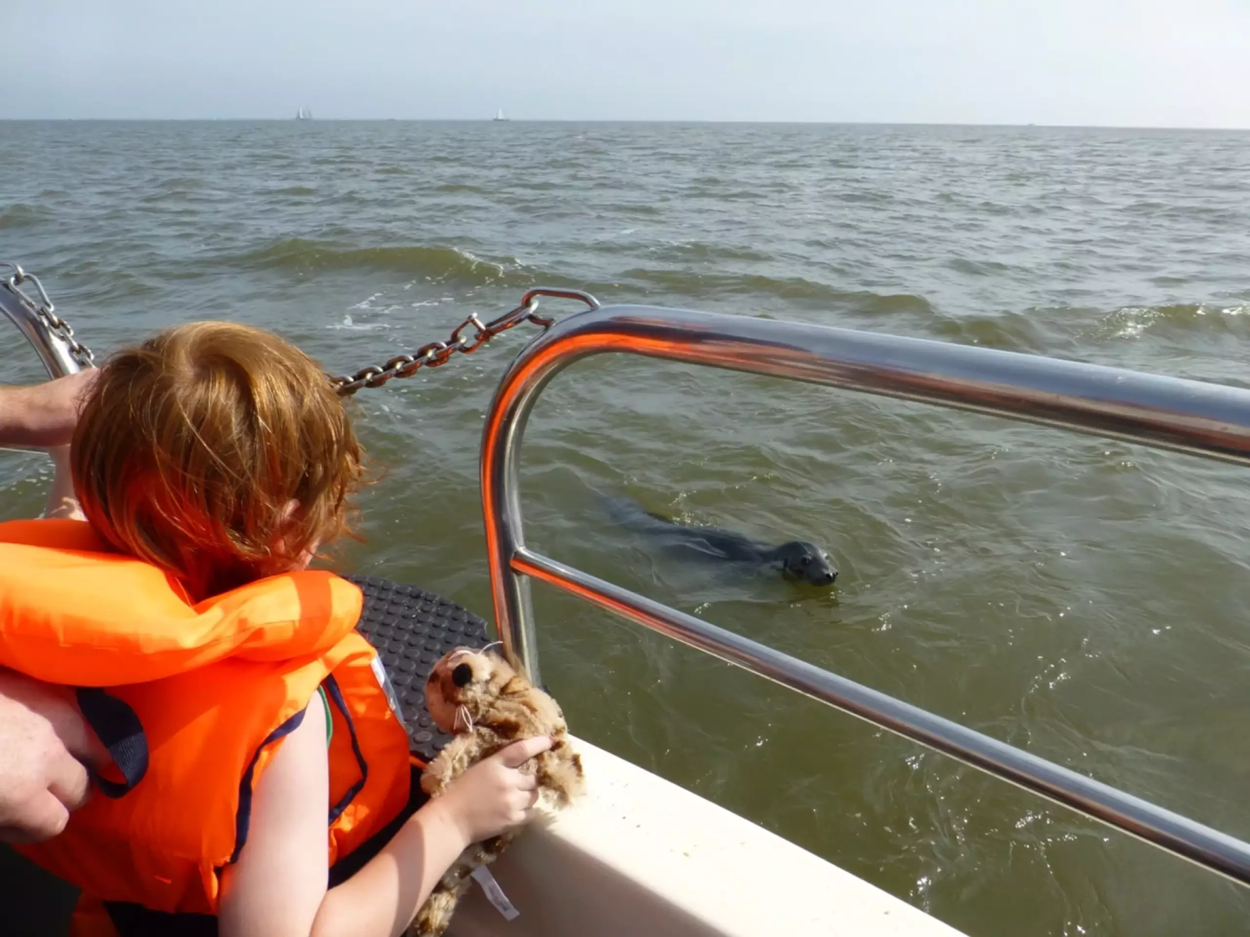 Zeehond