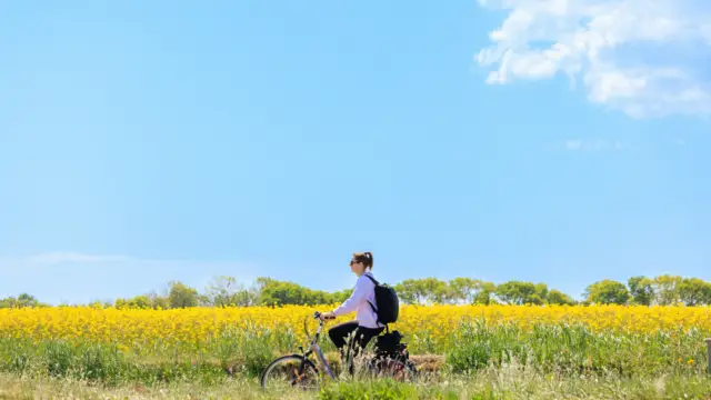 Fietsen in het voorjaar