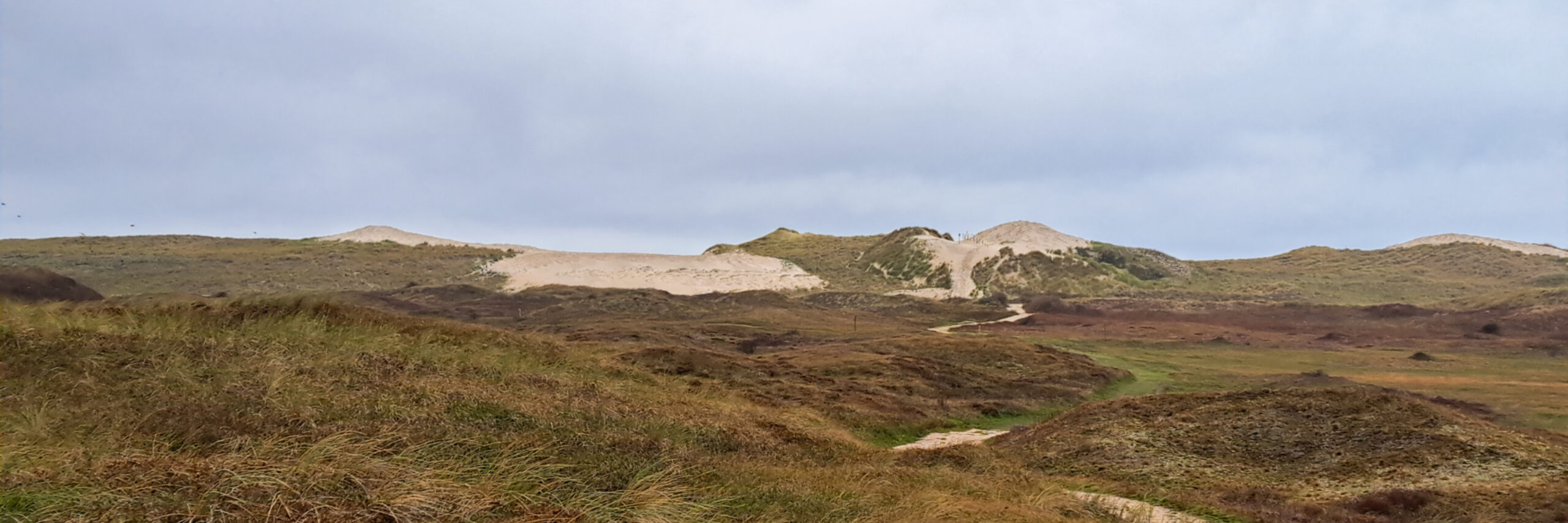 Westerduinen