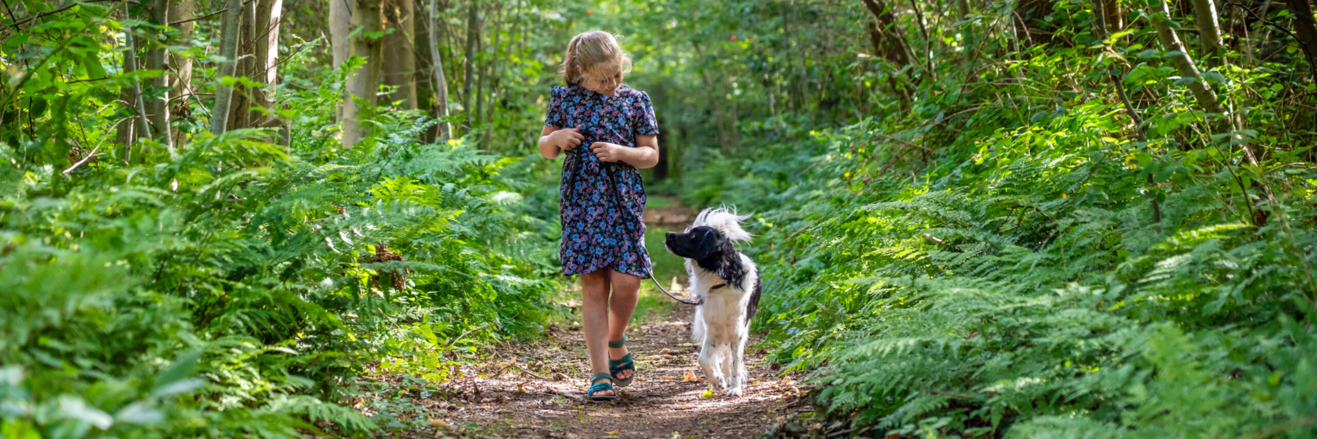 Samen genieten in het bos