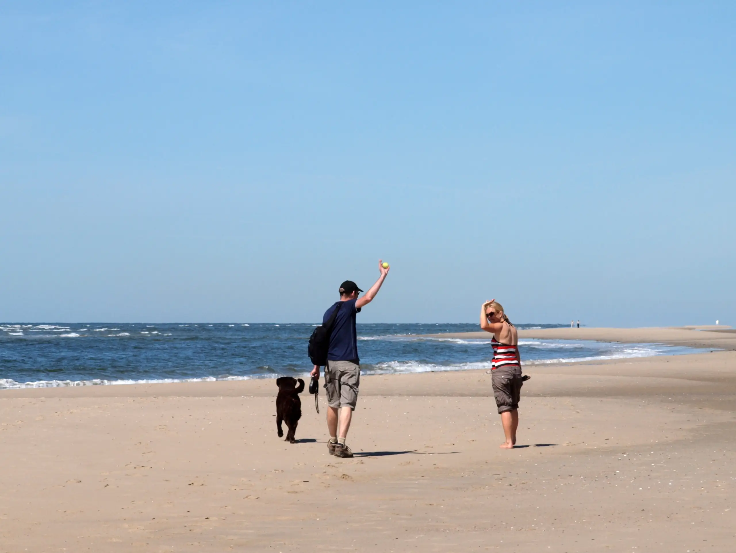Met de hond wandelen op het strand