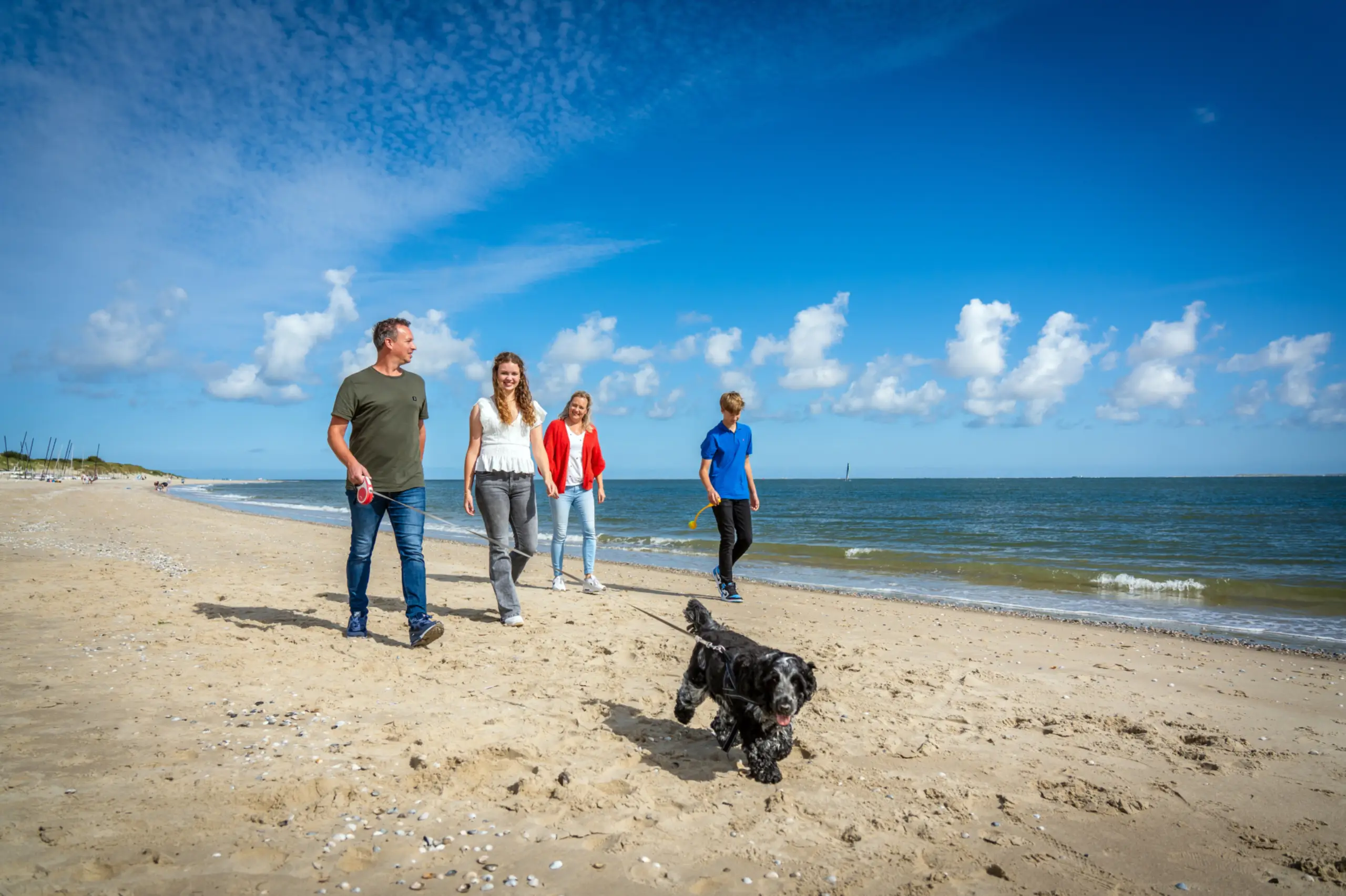 Met de hond op het strand