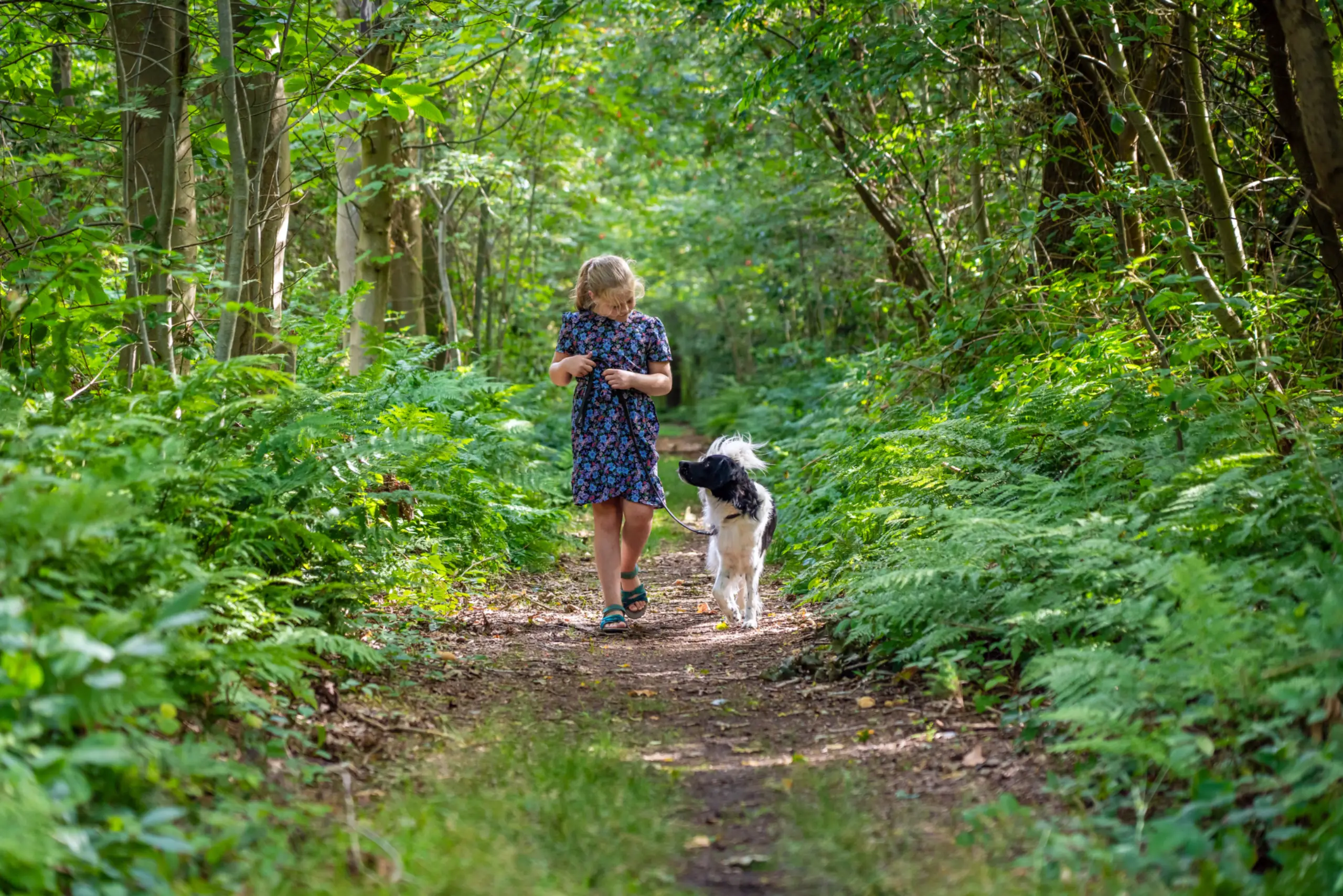 Samen genieten in het bos