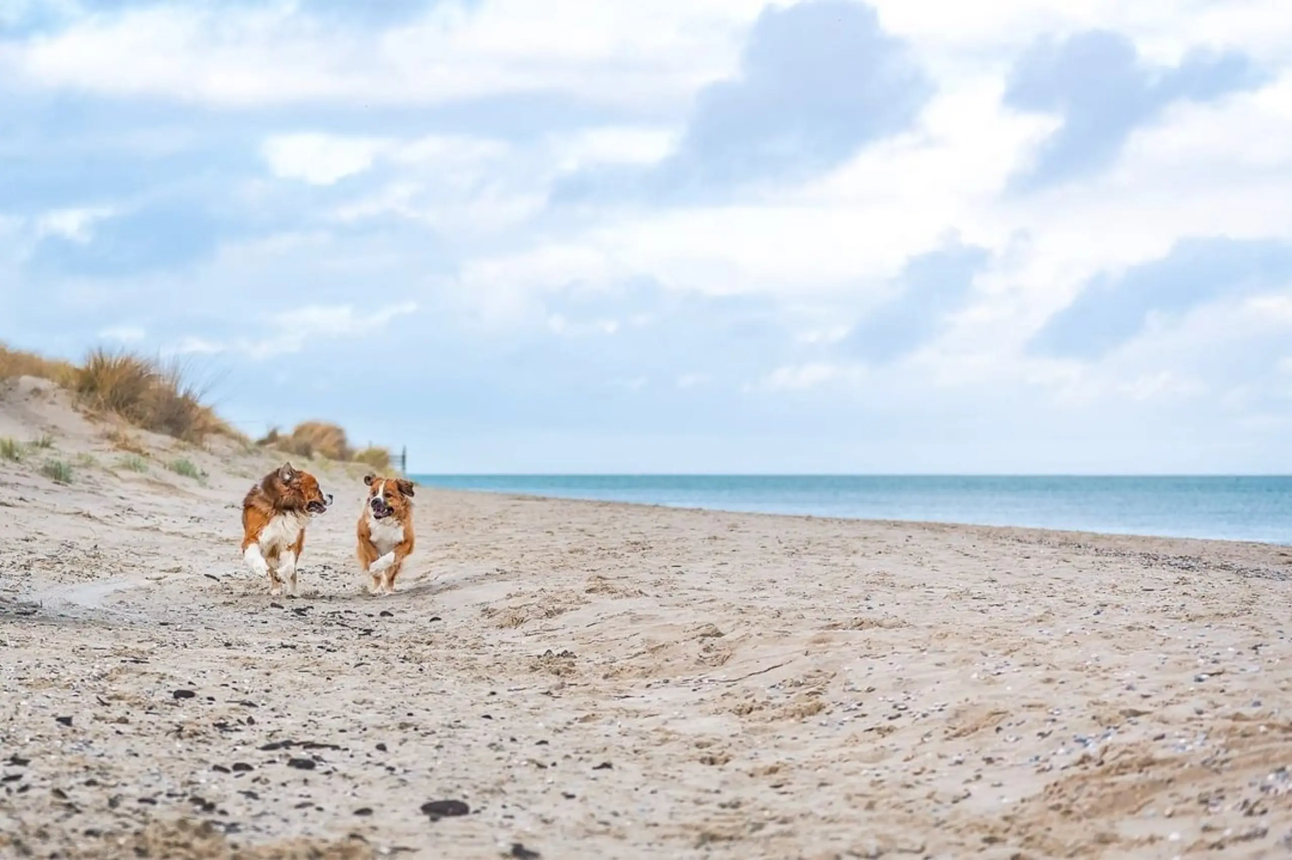 Samen rennen op het strand