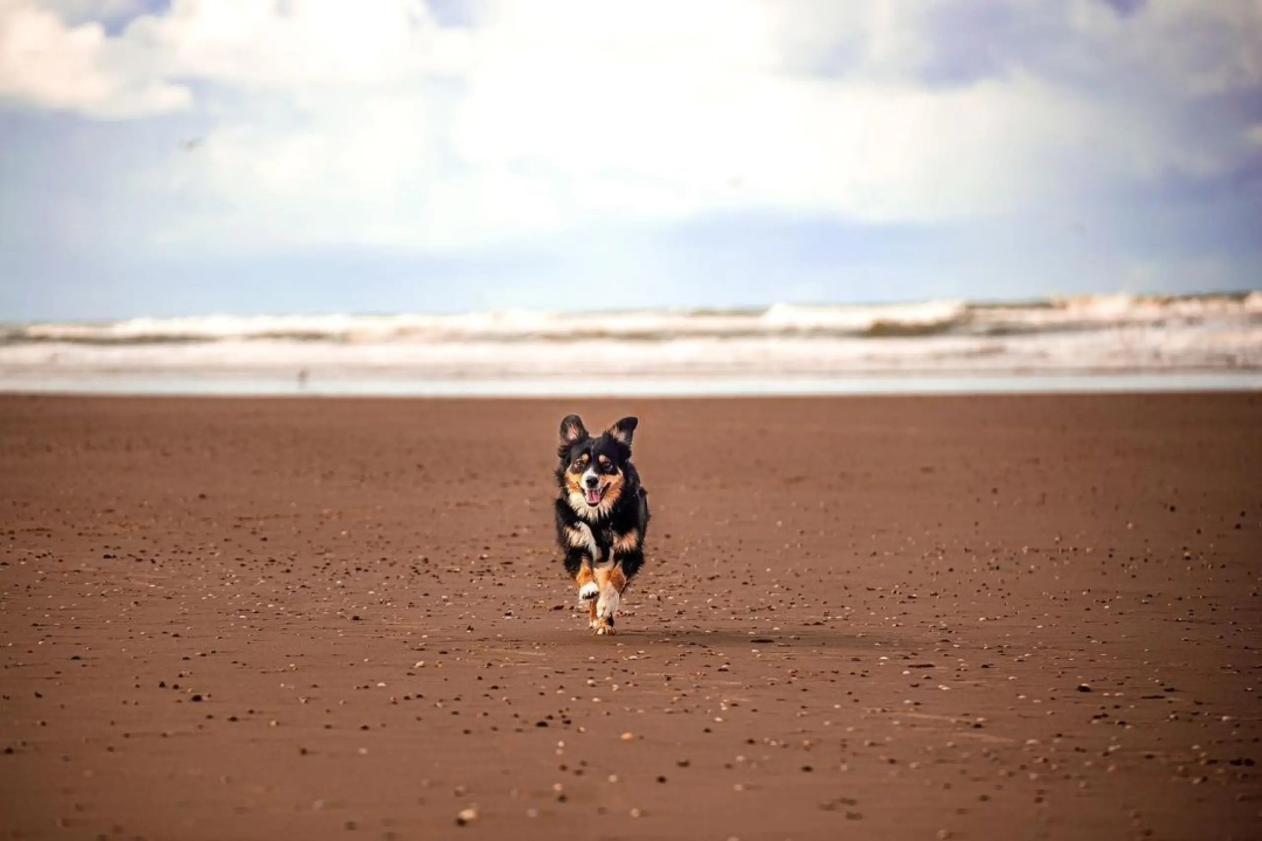 Rennen op het strand