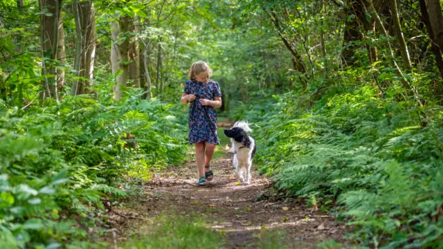 Samen genieten in het bos