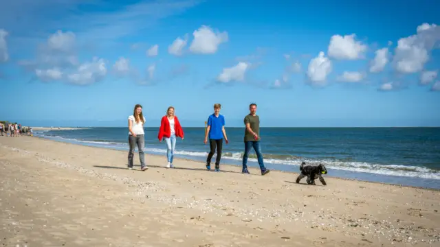 Met het gezin en de hond op het strand