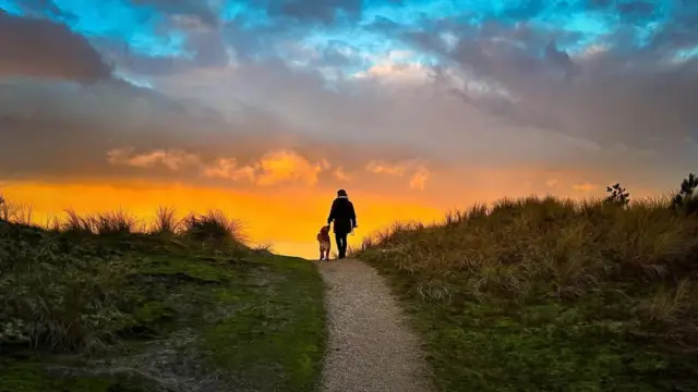 Wandelen met de hond naamsvermelding lifewithlennon of Rebecca Boer