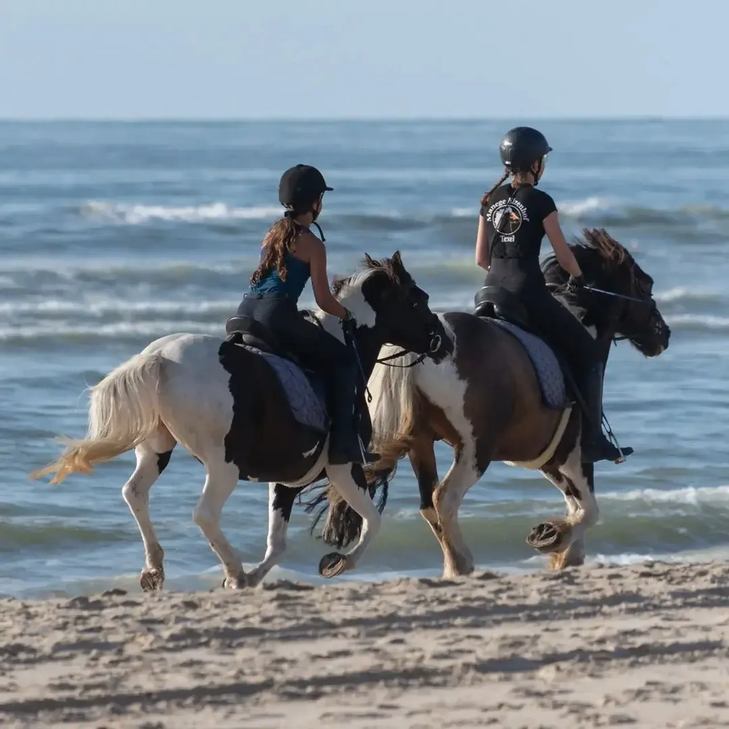 Paarden op het strand