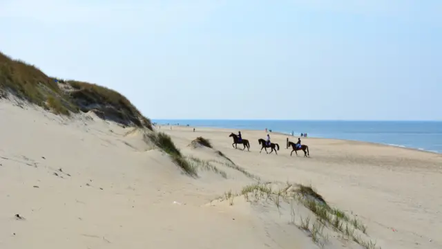 Paardrijden op het strand en in de duinen