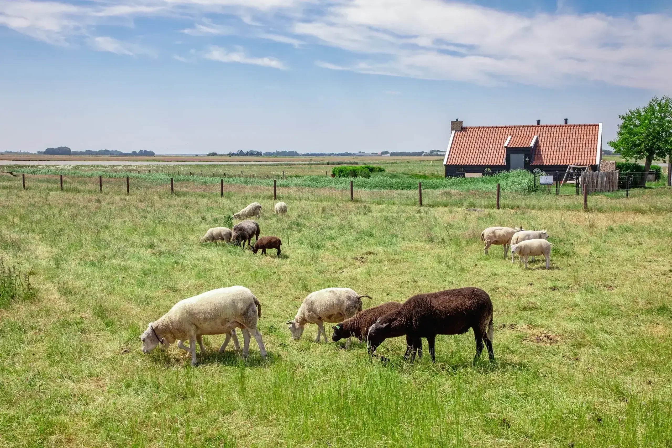 Boerderijtje bij de molen