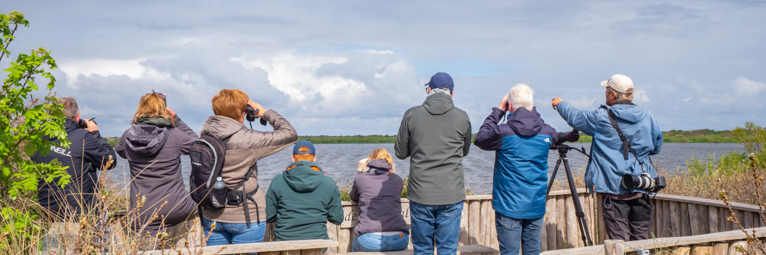 Vogelsafari Horsmeertjes