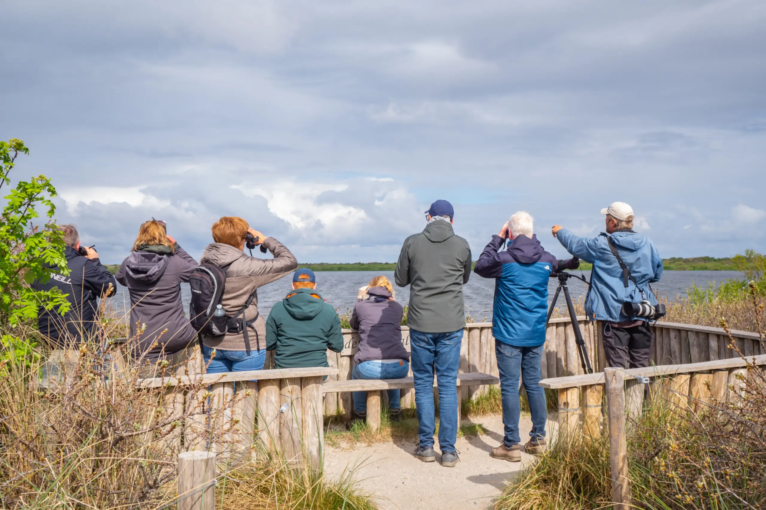 Vogelsafari Horsmeertjes