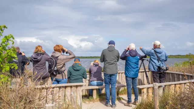 Vogelsafari Horsmeertjes