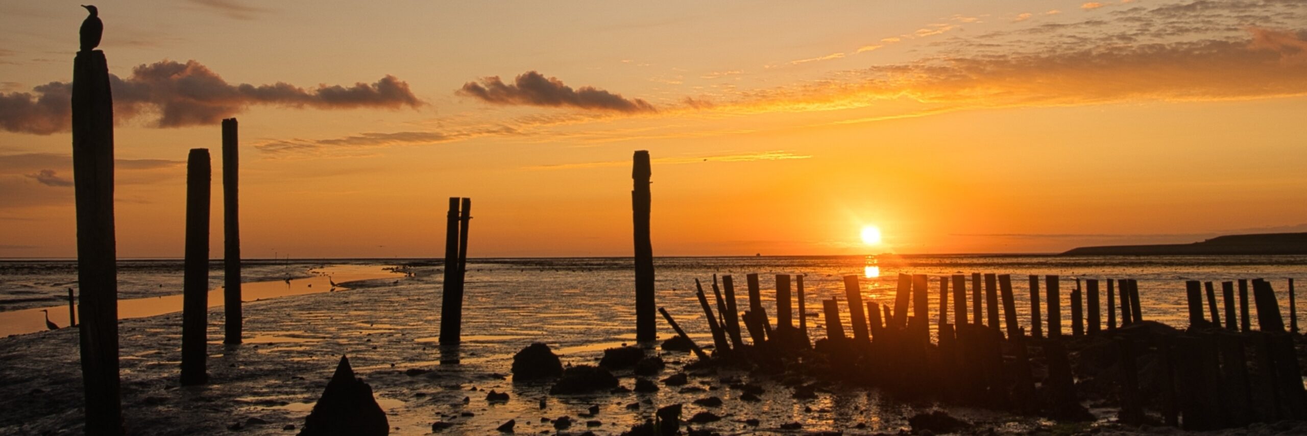 Haven bij De Cockdsdorp met zonsopgang Fotograaf Marcia Boomhouwer